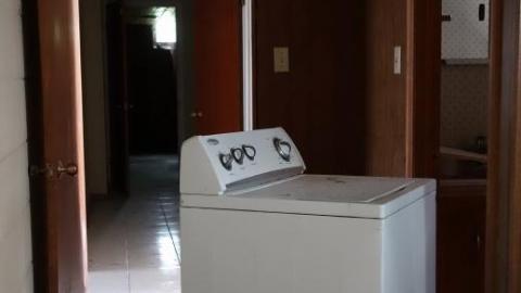 Sept '19 - DSC06203eCk.jpg