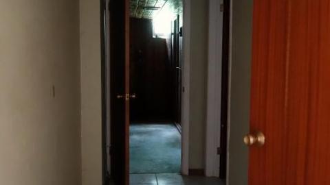 Sept '19 - DSC062052x2.jpg