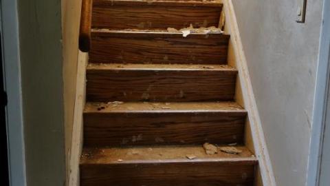 Sept '19 - DSC062105dM.jpg