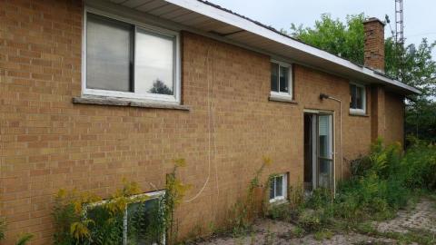 Sept '19 - DSC06215DDr.jpg