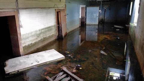 Sept '19 - DSC06221CGZ.jpg