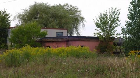 Sept '19 - DSC06223Zkm.jpg