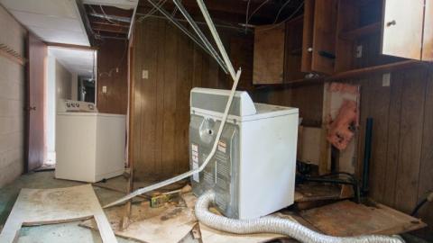 Mold House - Vaughan, Ontario