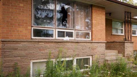 Mold House - IMG_4571sqGl.jpg