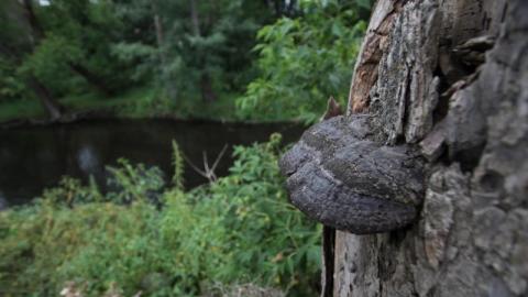 Bakers Former House For Ice - IMG_34978cz.jpg