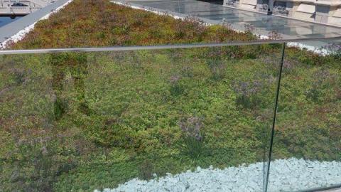 I'll be back - 20200814_144026SAL.jpg