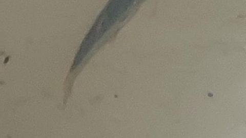 Junctions galore - 20200806_2001297eh.jpg