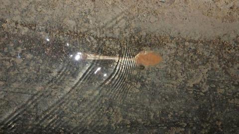 Junctions galore - 20200813_175232aI8.jpg