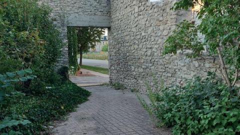 Gorgeous views - 20200811_2005099Kx.jpg