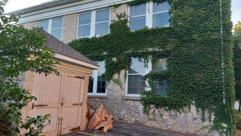 Gorgeous views - 20200811_200543Dxz.jpg