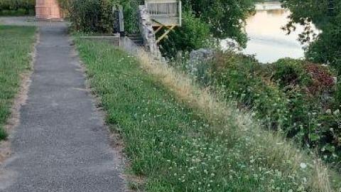 Gorgeous views - 20200811_200940Wag.jpg