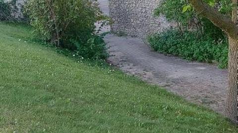 Photo from Gorgeous views