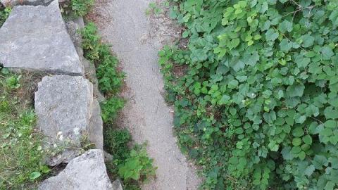 Gorgeous views - 20200811_201229gVw.jpg