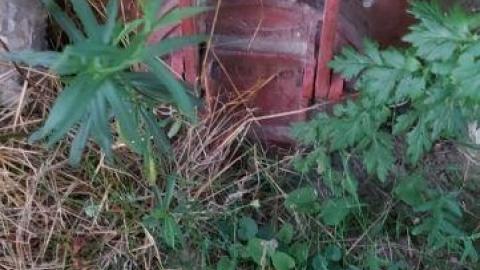 Gorgeous views - 20200811_203828R3H.jpg