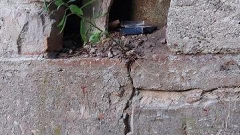 Gorgeous views - 20200811_2039021jG.jpg