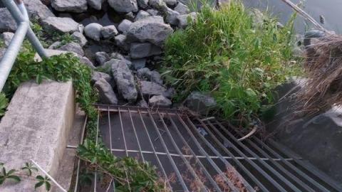 Gorgeous views - 20200811_204414WwI.jpg