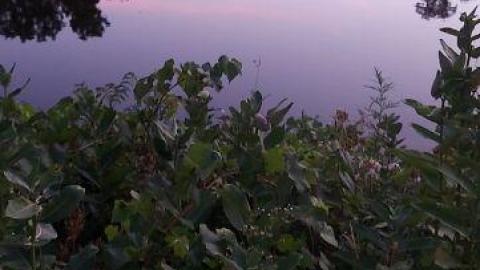 Gorgeous views - 20200811_204711EiG.jpg