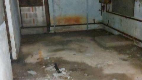 Better the second time - 20200808_145415jOC.jpg