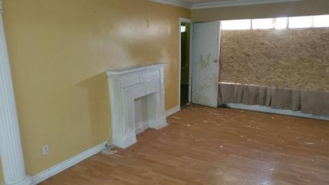 The Bird House photo 2