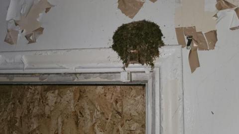 The Bird House photo 3