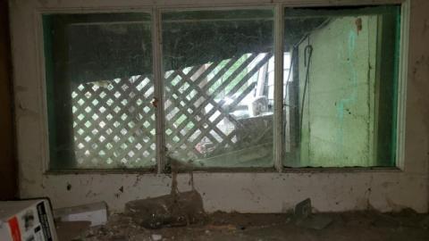 The Bird House photo 5