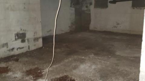 first visit - 20200816_170253M8D.jpg