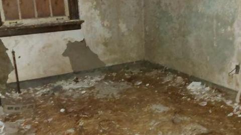 Better the second time - 20200808_145910zLd.jpg