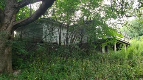 The Bird House photo 4