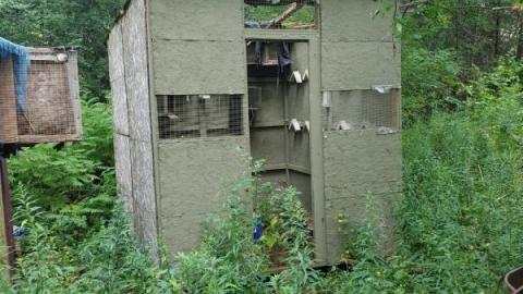 first visit - 20200816_170758s6S.jpg