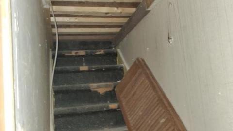 first visit - 20200816_170320fhS.jpg