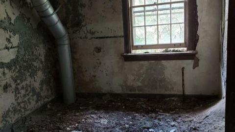 Better the second time - 20200808_1506331ma.jpg