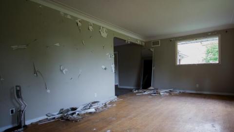 Land Mine - IMG_4432sBGq.jpg