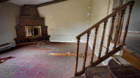 Land Mine - IMG_4446sZ4Z.jpg