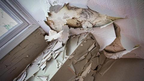 Land Mine - IMG_4450shnD.jpg