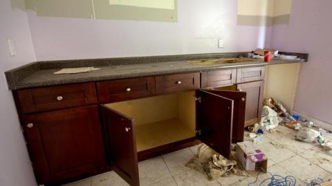 Land Mine - IMG_4454sjov.jpg