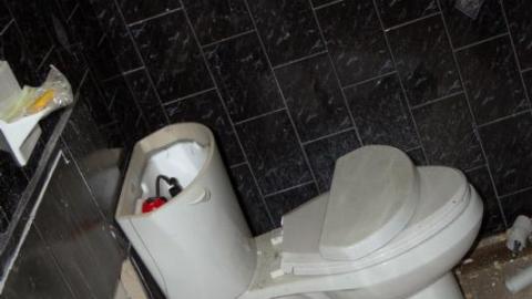 Land Mine - IMG_4458s85L.jpg