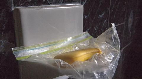 Land Mine - IMG_4459smPN.jpg