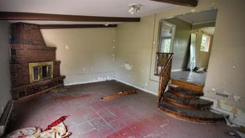 Land Mine - IMG_4467s4VY.jpg