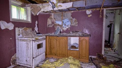 Land Mine - IMG_4474sDbY.jpg