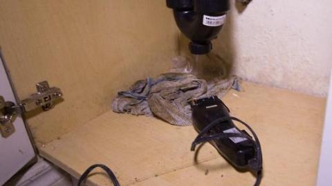 Land Mine - IMG_4484sxXb.jpg