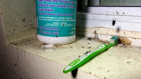 Land Mine - IMG_4485s6nA.jpg