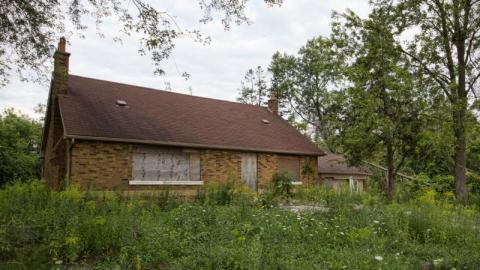 Optical Illusion - IMG_4567sbrE.jpg