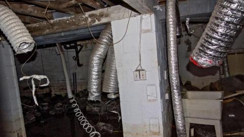 Gone to Pot - IMG_4495sYwB.jpg