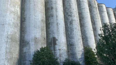 August 2020 - F48C2A7E-B02F-480D-A05D-94B0C90A49EC1pM.jpg