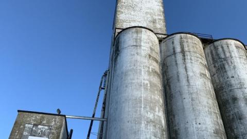 August 2020 - F8959361-530A-489D-8354-EC8DAEAE82A9FRd.jpg