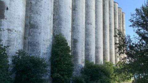 August 2020 - 1EF4A80F-565D-4B34-A608-C317EA701688S37.jpg