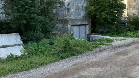 August 2020 - CC7362AE-3832-4D7D-8003-4AD14A439307j32.jpg