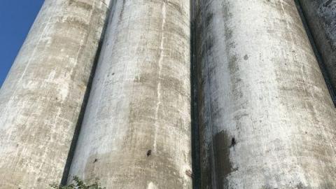 August 2020 - 094DA9BE-FC14-4BC9-8FDB-E8586CDDCEC2SZh.jpg