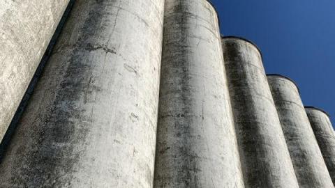 August 2020 - FA6512A5-3AA0-45E2-AE0C-5F225E07EB73FUZ.jpg