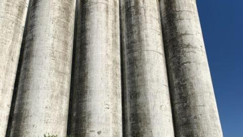 August 2020 - 10B0EBBB-1FC8-4238-B982-13538580A2D6ffd.jpg